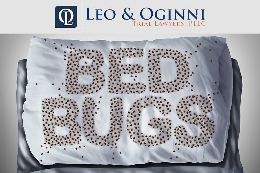 How Much Does Bed Bug Fumigation Cost? BedBugs