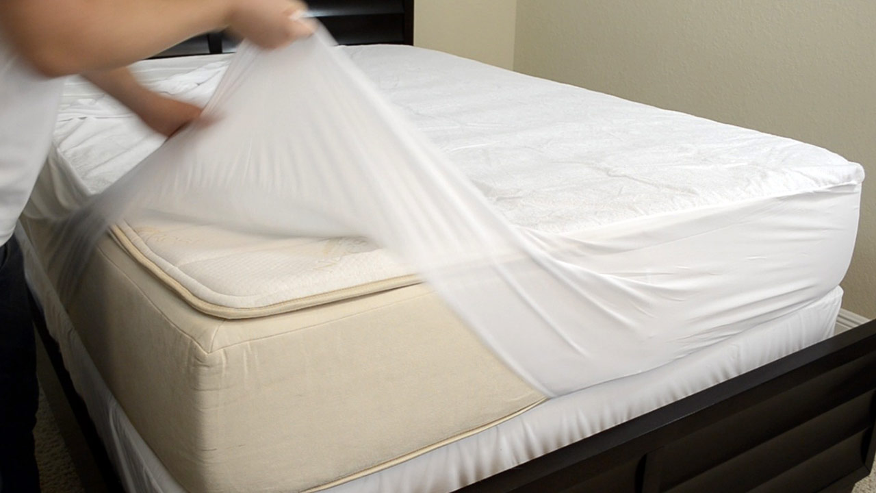 The Benefits Of A Bed Bug Mattress Cover BedBugs