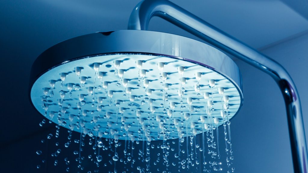 Will Bed Bugs Come Off In The Shower BedBugs