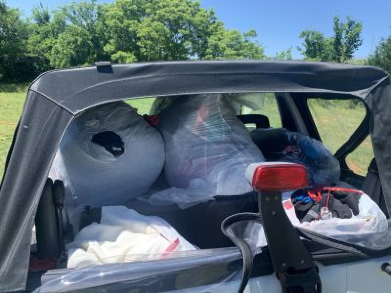 Bed Bugs Can Survive The Heat In Hot Cars BedBugs