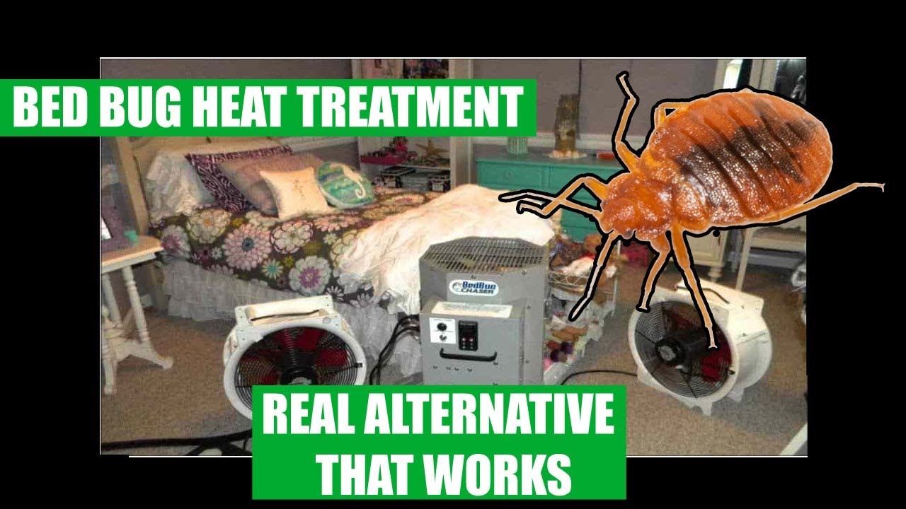 How Thermal Remediation Can Help You Get Rid Of Bed Bugs BedBugs