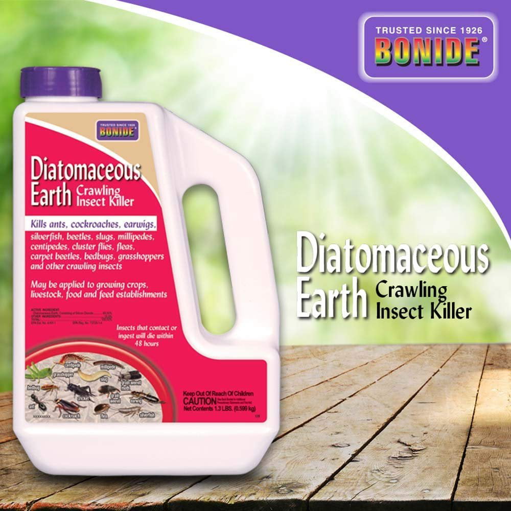 Diatomaceous Earth A Natural Solution for Cockroach Control BedBugs
