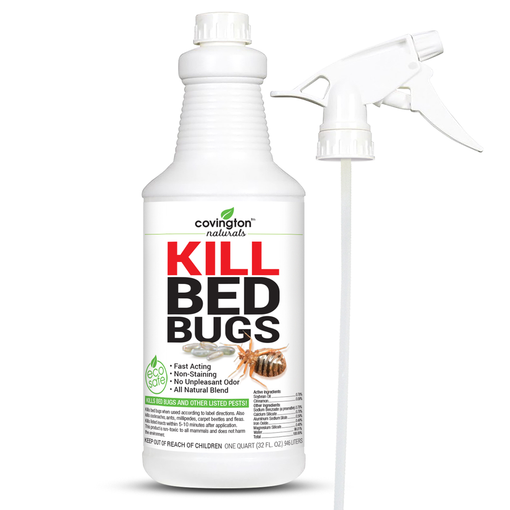 The Best Bed Bug Treatment Option Gentrol BedBugs