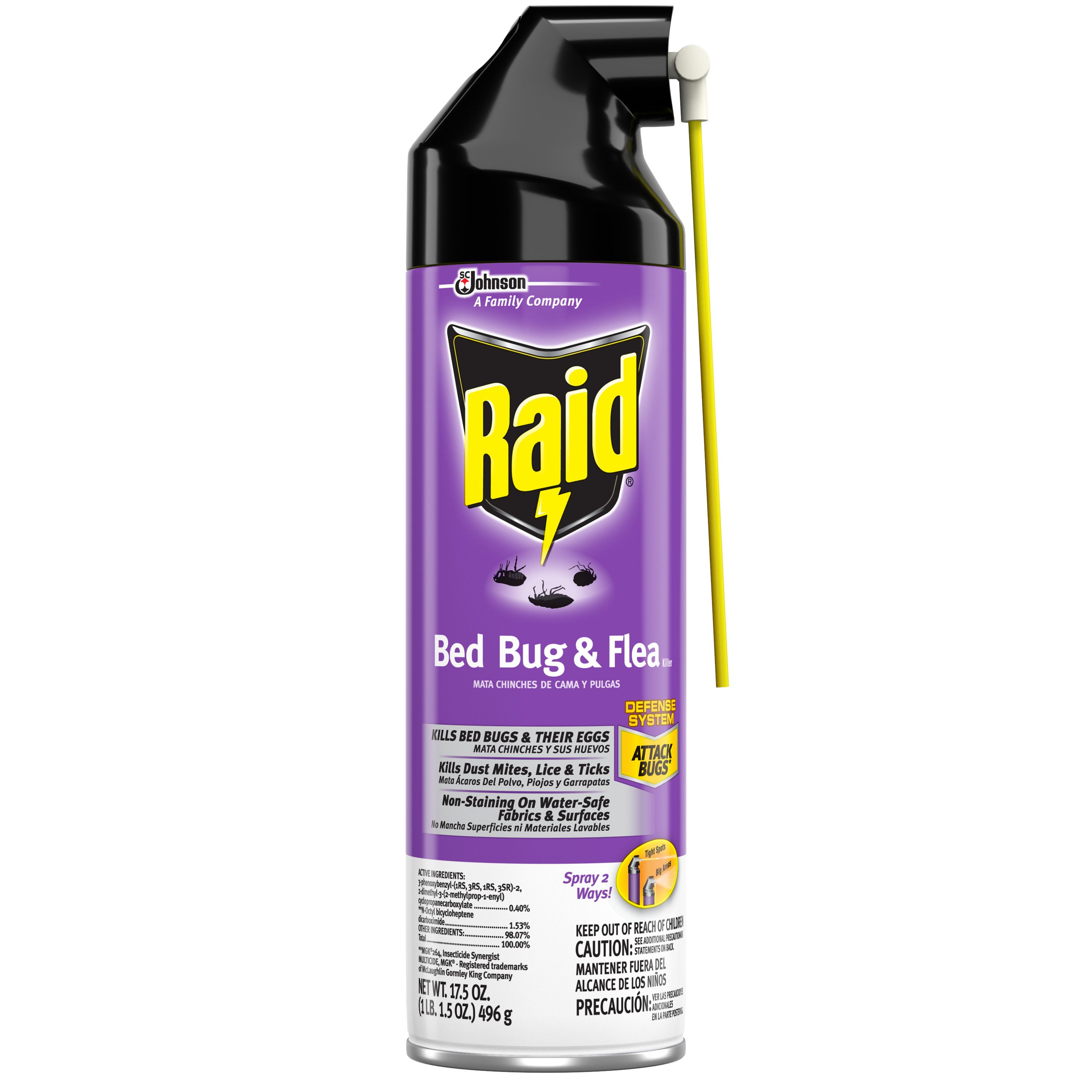Does Raid Really Kill Carpet Beetles? A Comprehensive Guide To