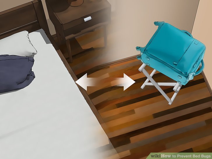 How Thermal Remediation Can Help You Get Rid Of Bed Bugs BedBugs