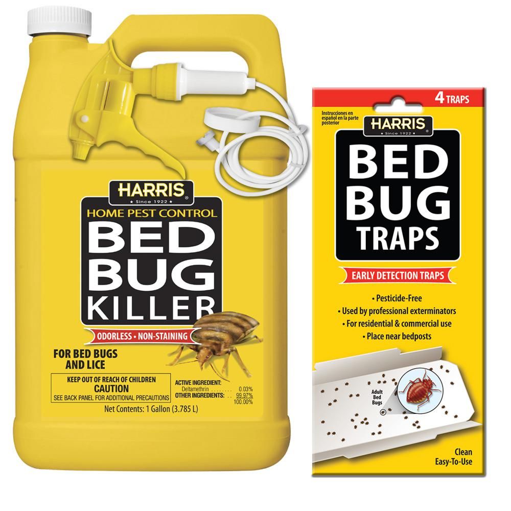 How To Get Rid Of Bedbugs With Bug Bombs BedBugs