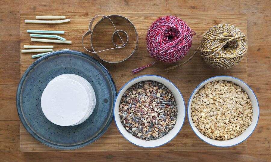 Vogelfutter Selbst gemacht Beobachter