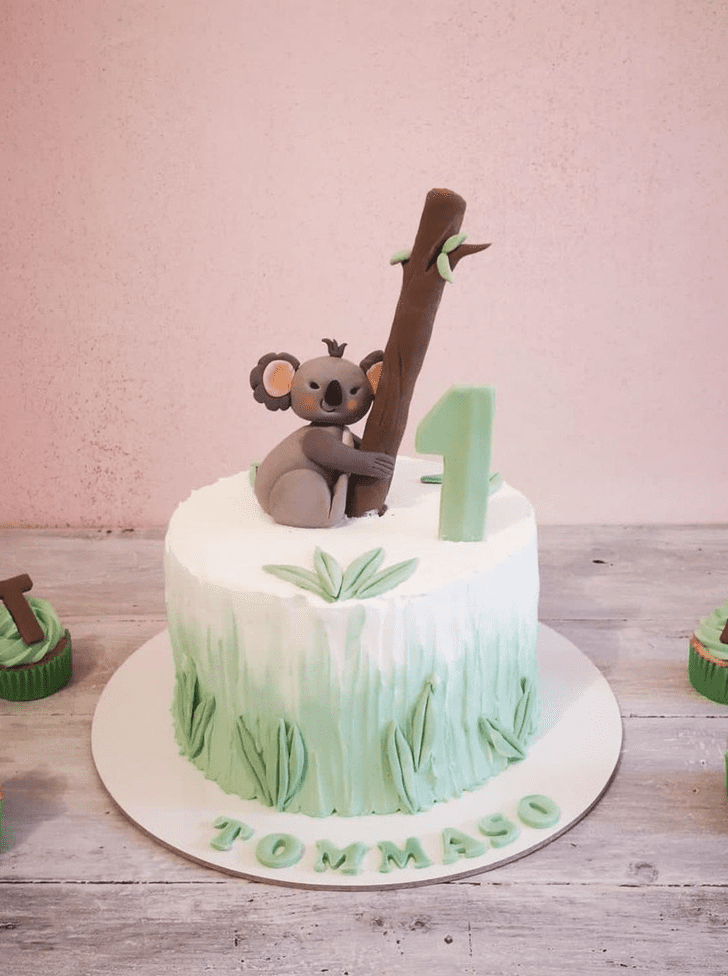 Koala Birthday Cake Ideas Images (Pictures)