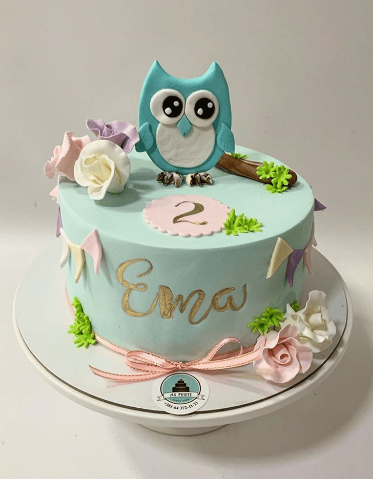 Owl Birthday Cake Ideas Images (Pictures)