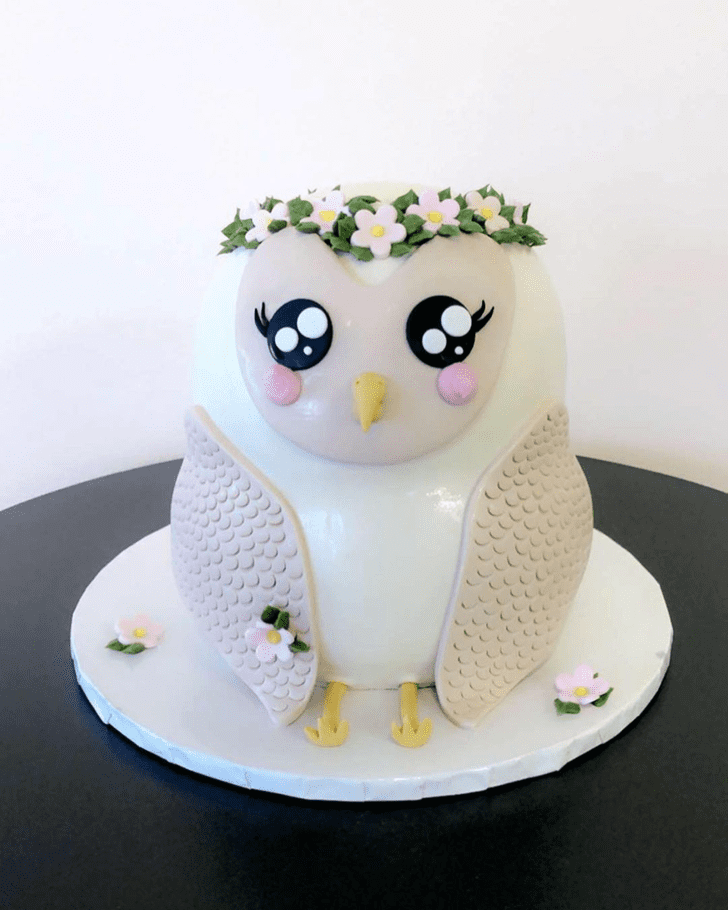 Owl Birthday Cake Ideas Images (Pictures)