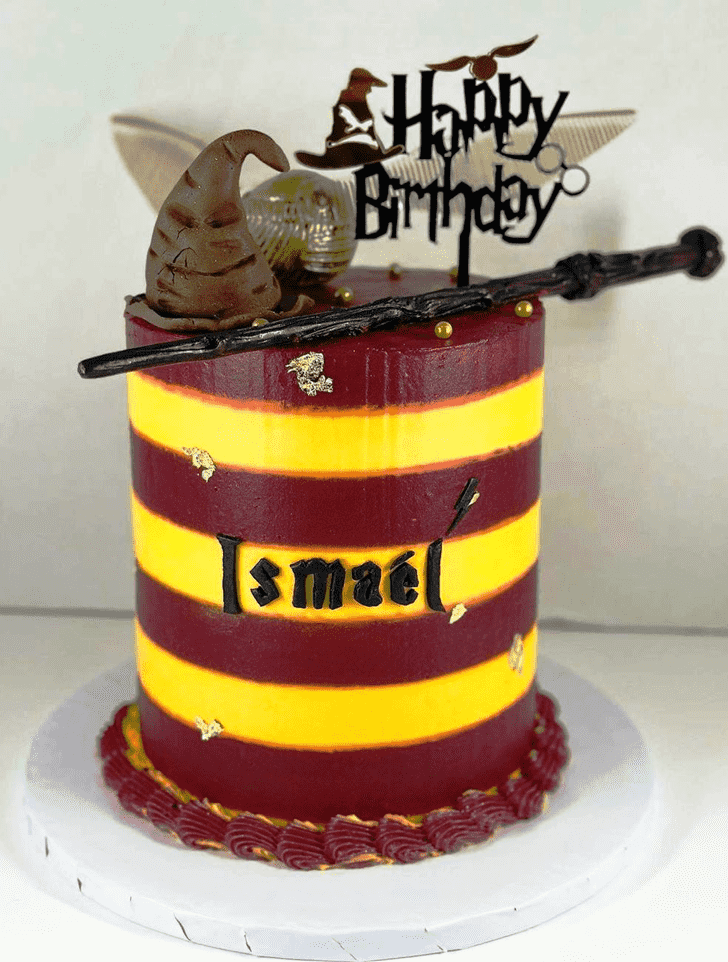 Sorting Hat Birthday Cake Ideas Images (Pictures)