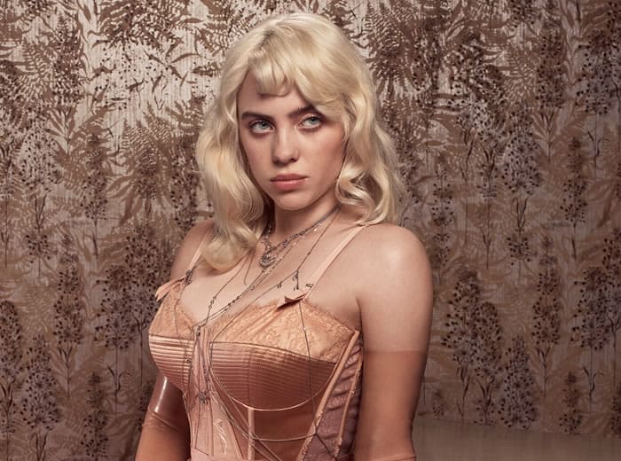 Billie Eilish Plastic Surgery Comparison Photos