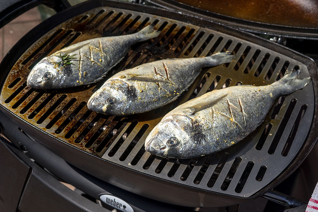 √ Fisch Grillen er Fischlexikon