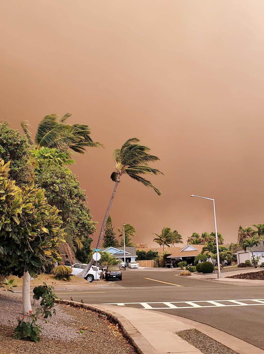 Mass Exodus of Waikoloa Village ‘Surreal’ Experience For Evacuees Big