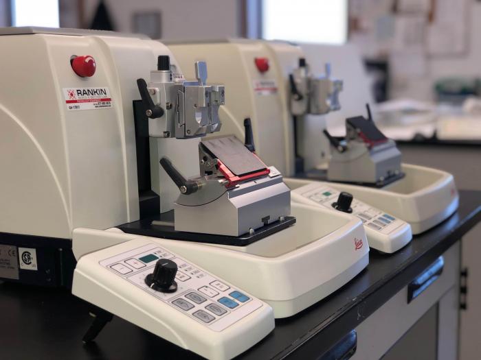 Used LEICA RM2255 for Sale - $10900 item# 1445146 | Bimedis