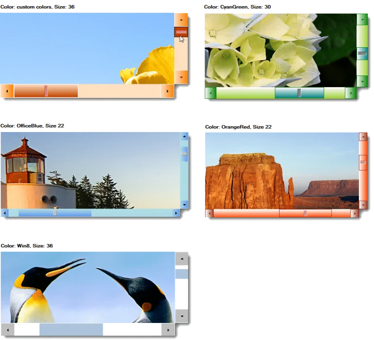 How to use custom WinForms ScrollBar Control