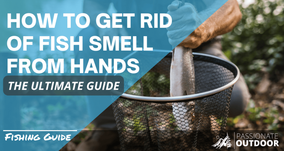 Chameleon Cold Brew’s Oat Milk Latte The Perfect PickMeUp