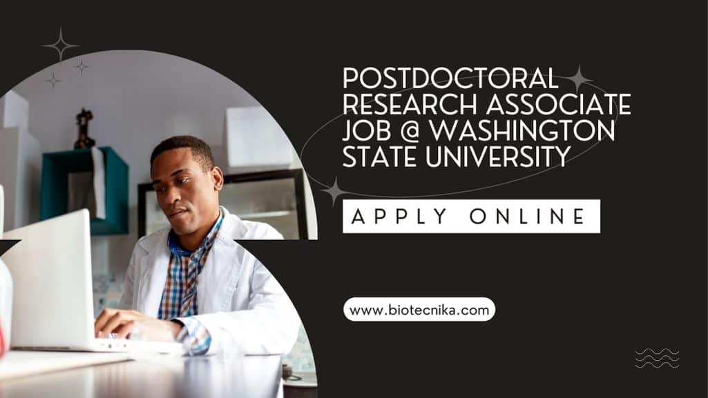 Postdoctoral Research Associate Job Washington State University