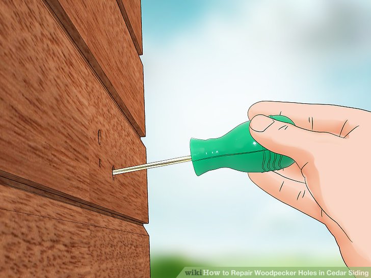 Restoring Cedar Siding A Woodpecker Damage Repair Guide Birds Of The