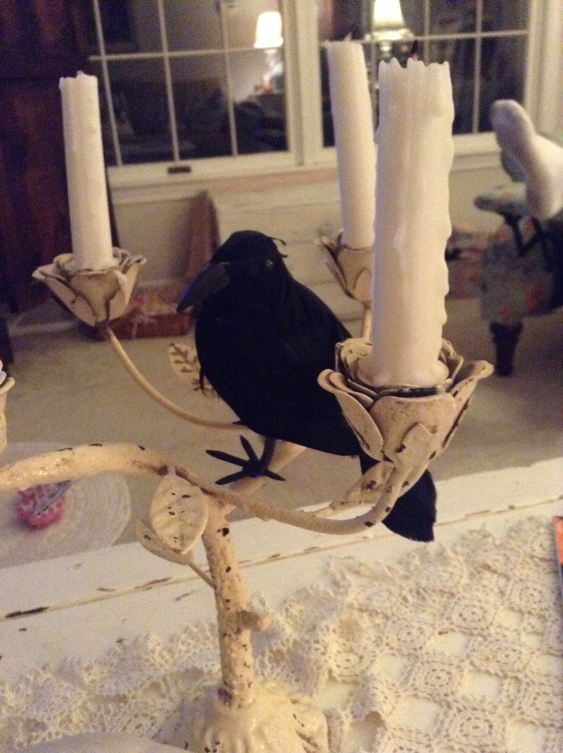 Unveiling the Enigmatic World of Black Crow Candles Birds Of The Wild