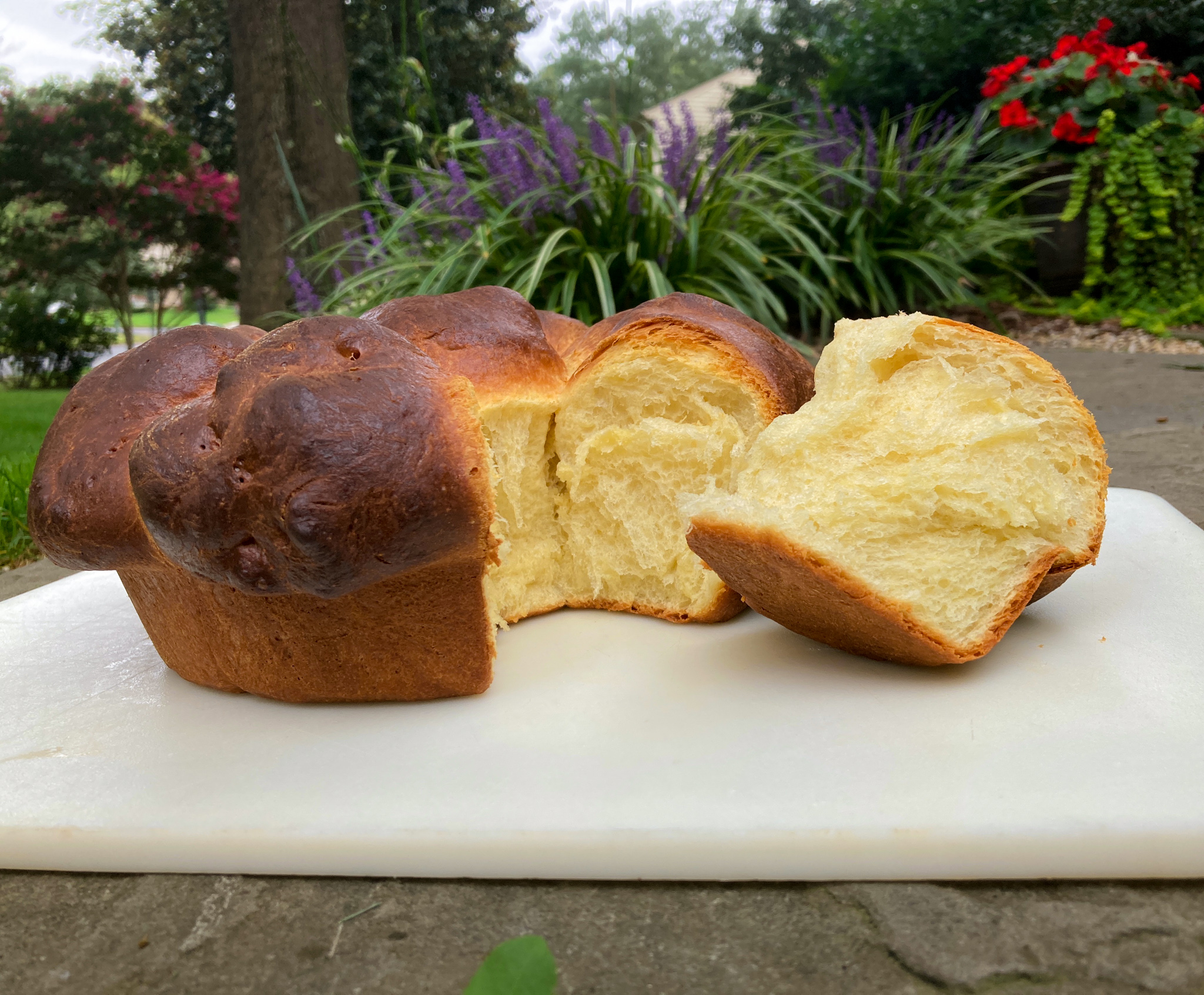 Should Brioche Be Capitalized? Bitter Sweet Indy