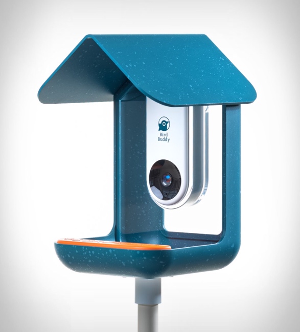 Bird Buddy