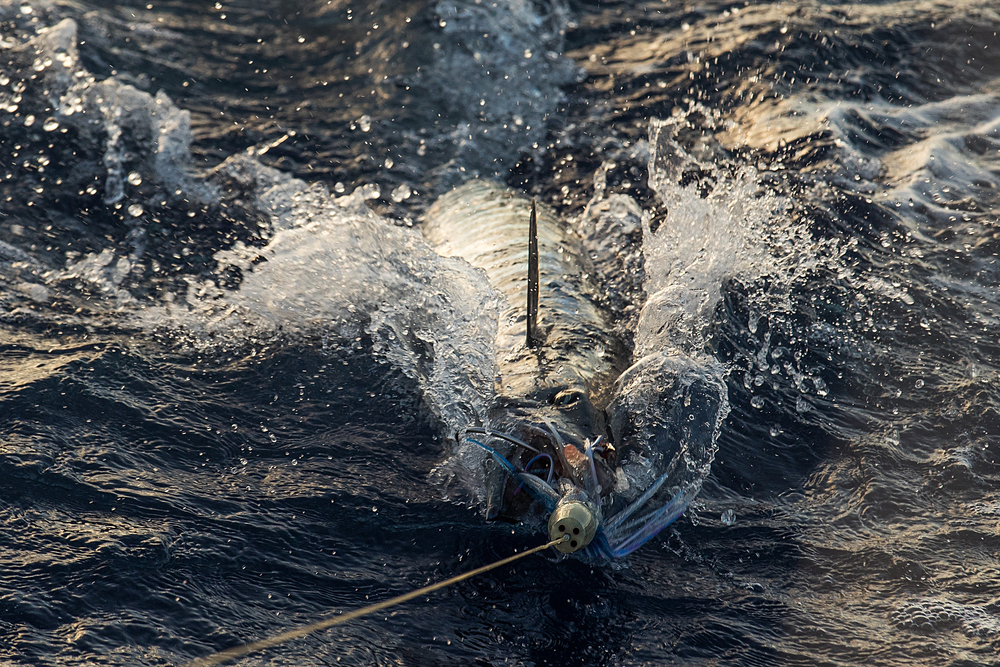 Downrigging Tips for Better Fishing