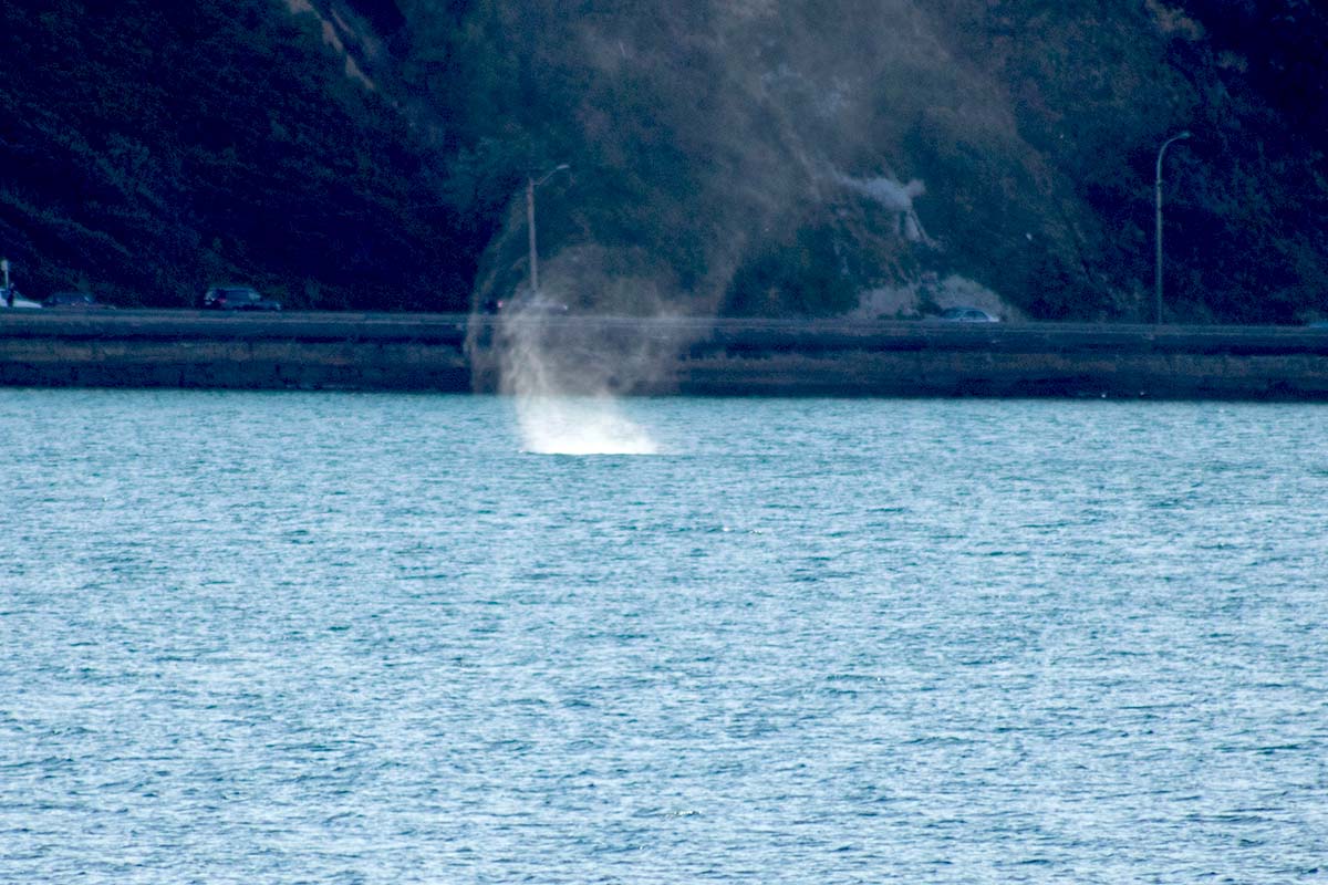 How to Deal With Waterspouts While Boating