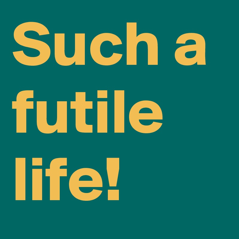 Such a futile life! Post by Trek on Boldomatic