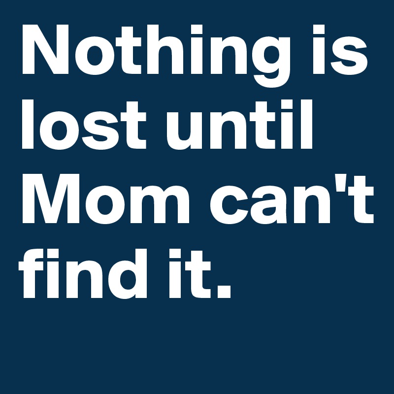 Nothing is lost until Mom can't find it. Post by MeMyselfAnd..I on