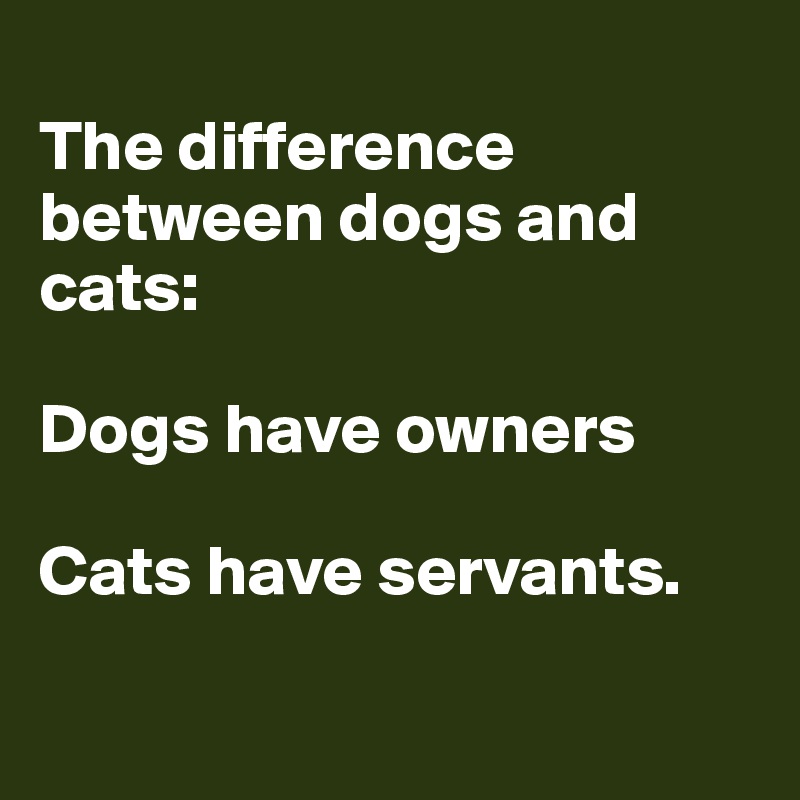 The difference between dogs and cats Dogs have owners Cats have