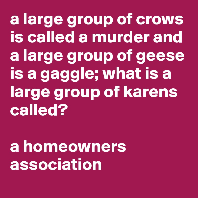 a large group of crows is called a murder and a large group of geese is