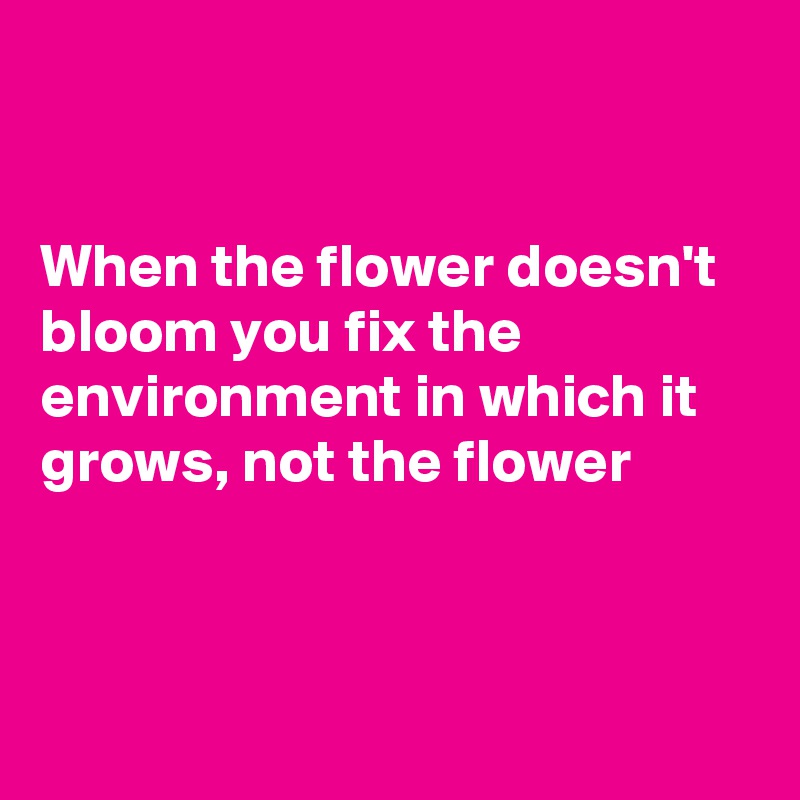 When the flower doesn't bloom you fix the environment in which it grows