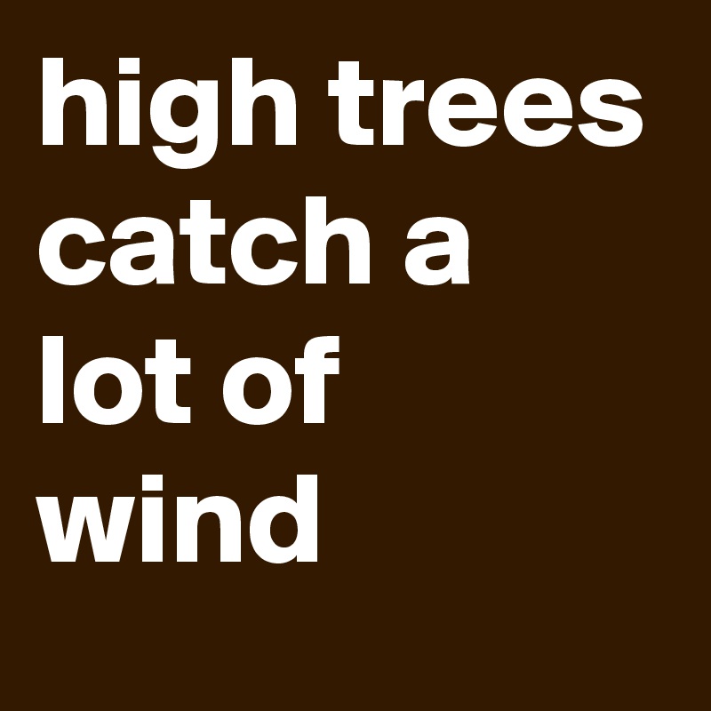 high trees catch a lot of wind Post by nickvanholland on Boldomatic