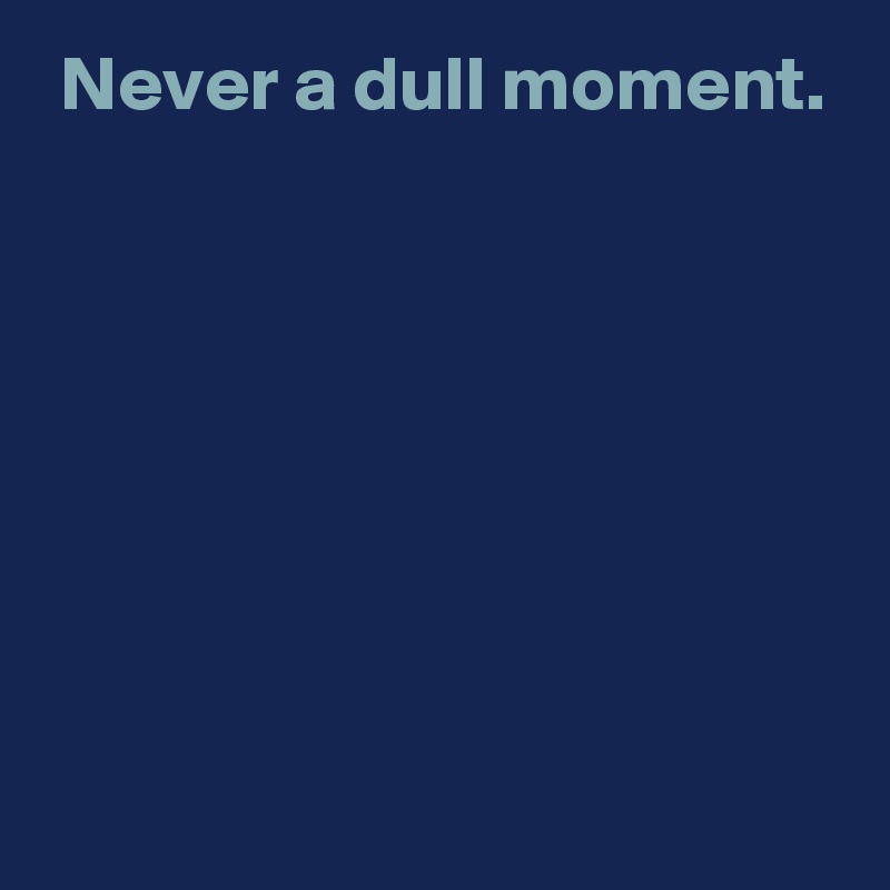 Never a dull moment. Post by AndSheCame on Boldomatic