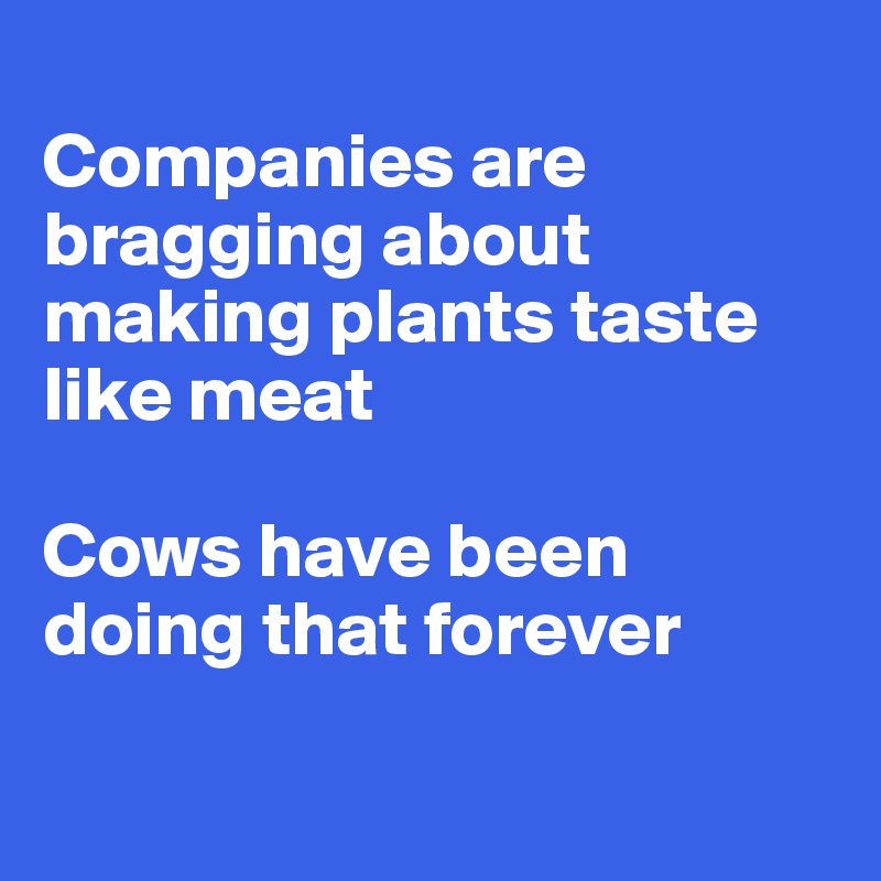 Companies are bragging about making plants taste like meat Cows have