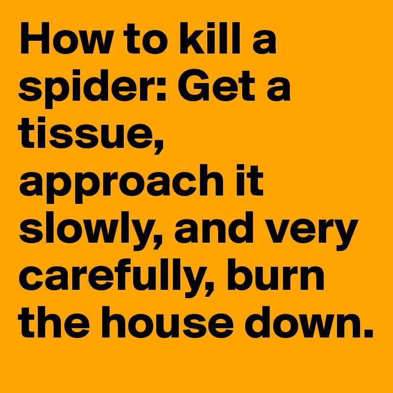 How to kill a spider Get a tissue, approach it slowly, and very