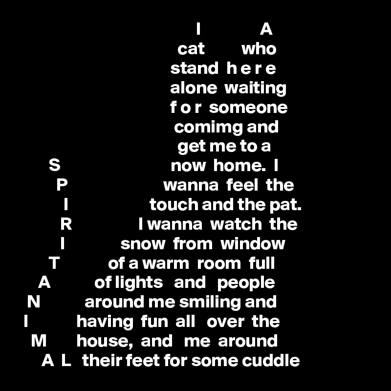 I A cat who stand h e r e alone waiting f o