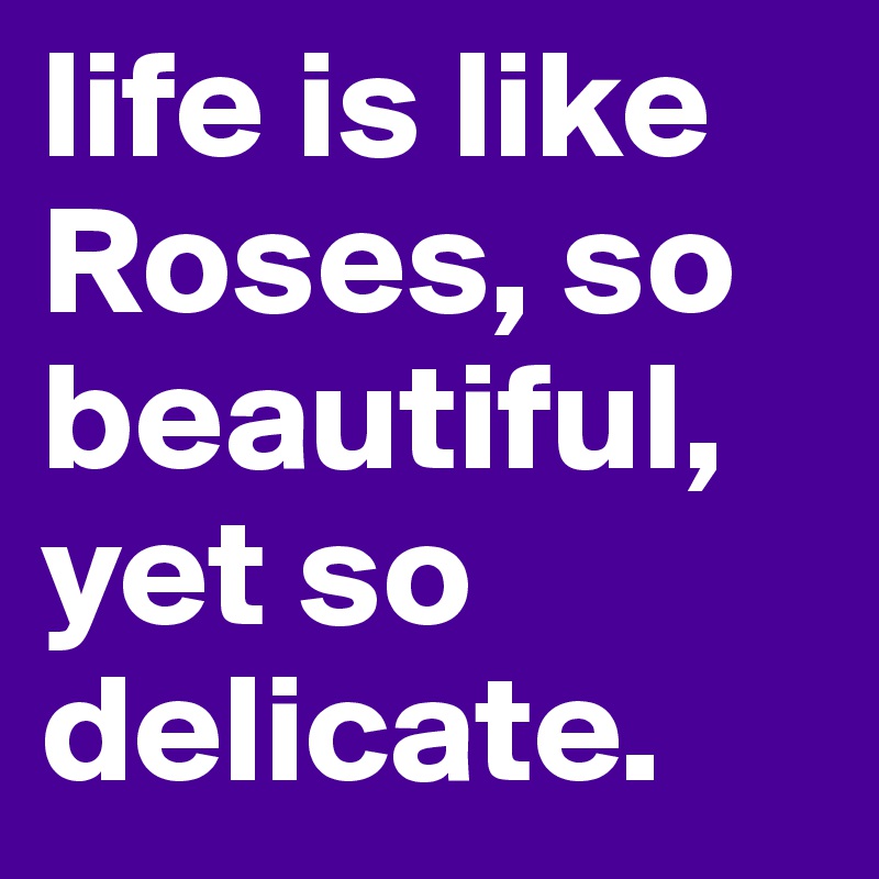 life is like Roses, so beautiful, yet so delicate. Post by