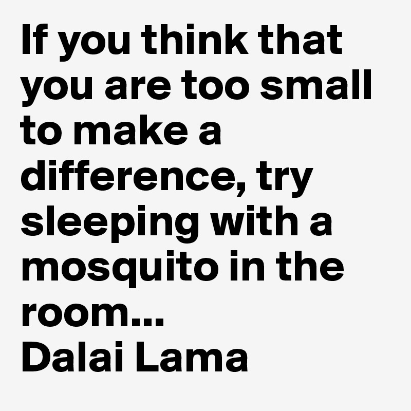 If you think that you are too small to make a difference, try sleeping with a mosquito in the