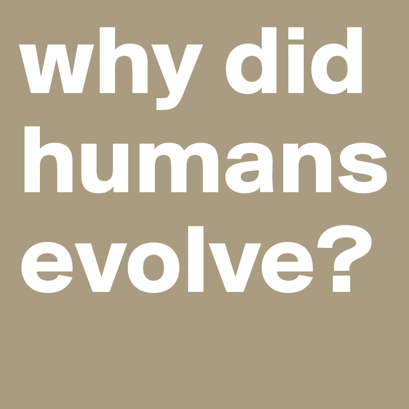 why did humans evolve? Post by mkoschi13 on Boldomatic