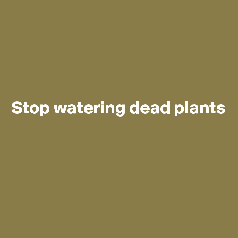 Stop watering dead plants Post by Ziya on Boldomatic