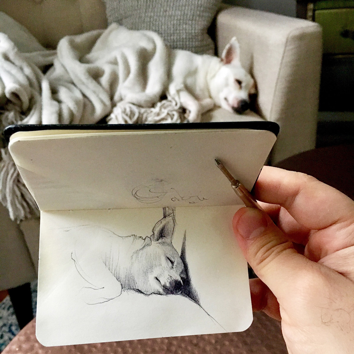 Incredible Ballpoint Pen Drawings by Artist Nicolas V. Sanchez