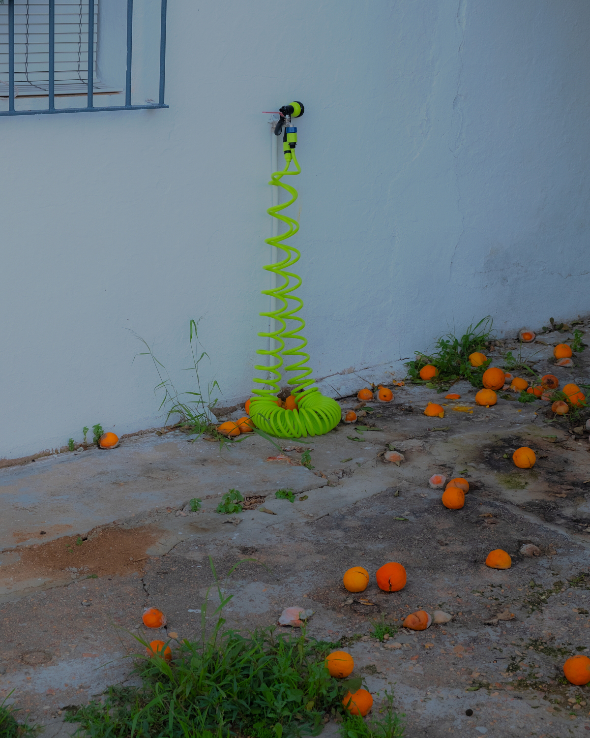 Photographer Spotlight Darío Toscano BOOOOOOOM! CREATE * INSPIRE