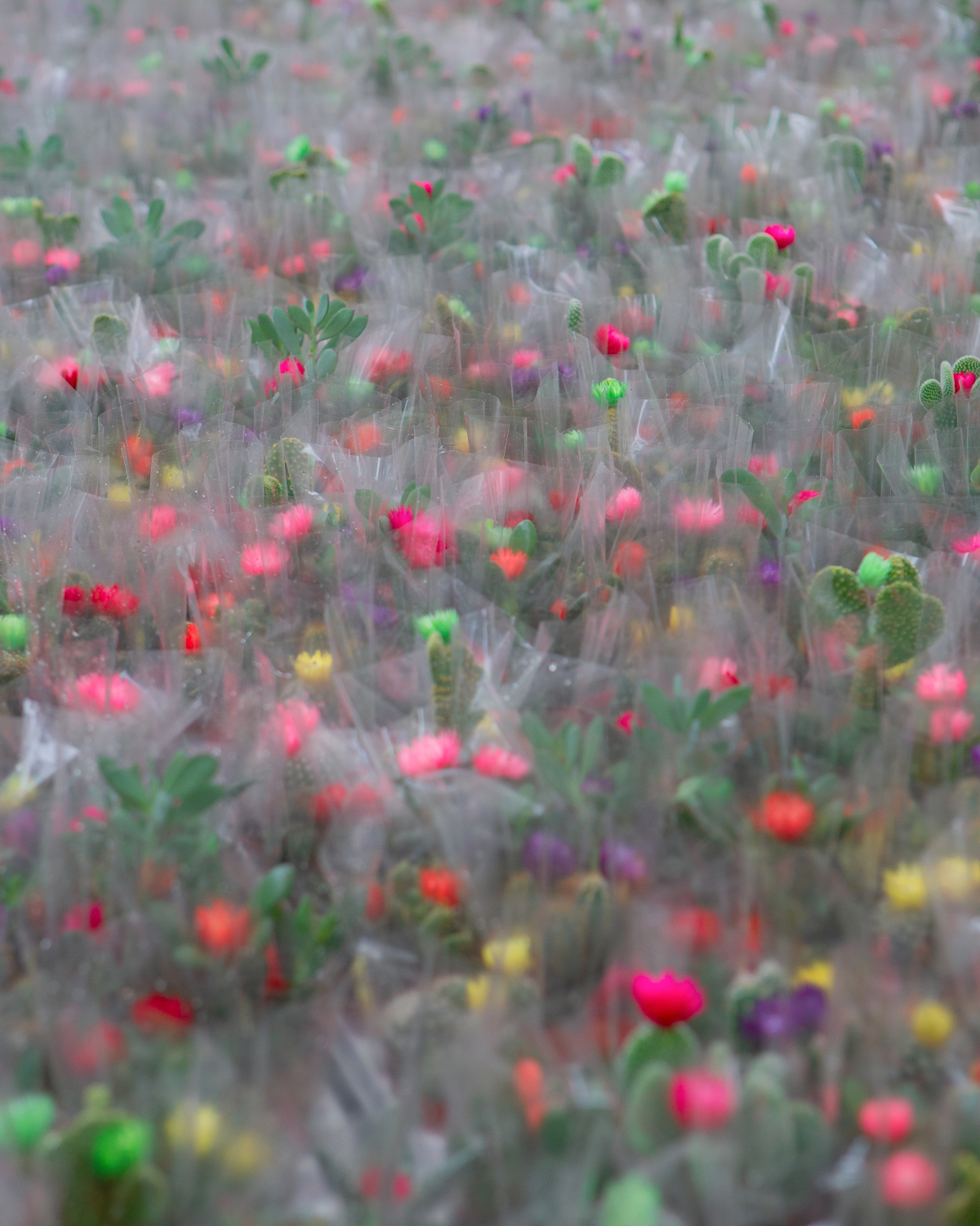 Photographer Spotlight Darío Toscano BOOOOOOOM! CREATE * INSPIRE