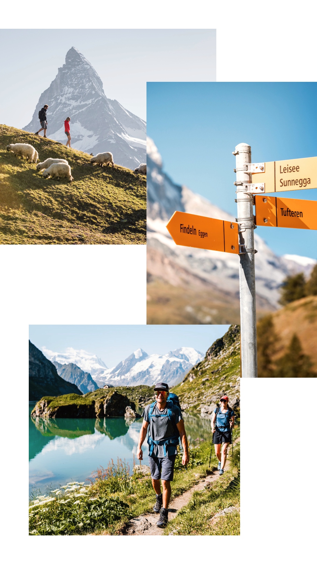 Top 6 Summer activities in the Alps Bramble Ski