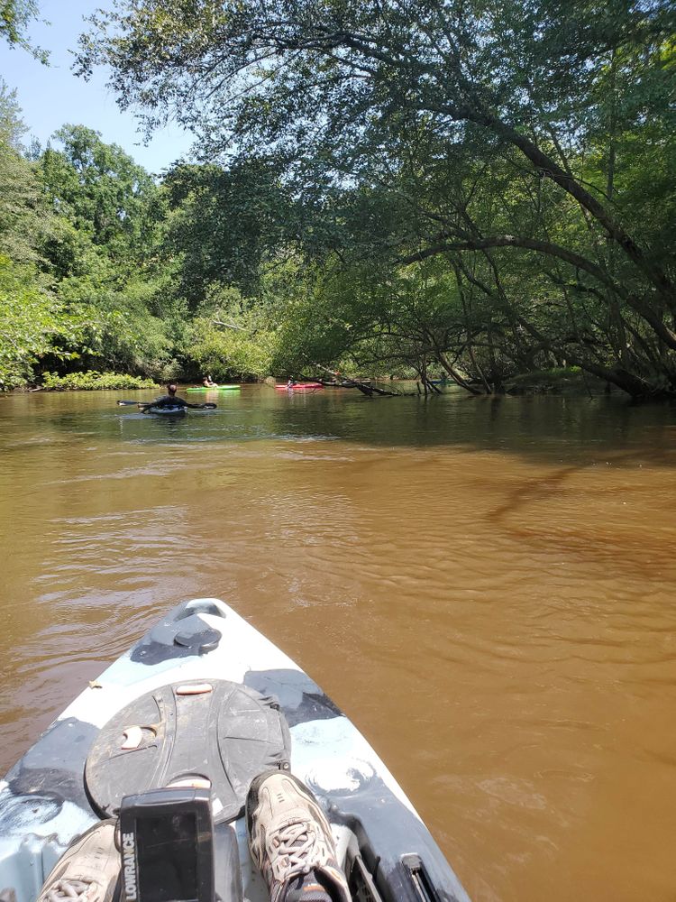 Lynches River Lynches River Park to Hwy 52 Landing