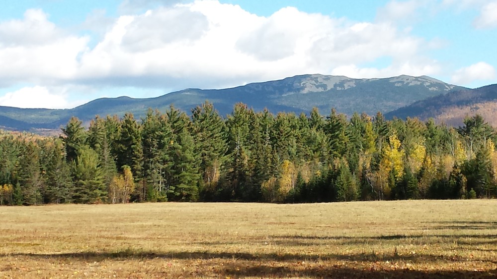 Perham Stream Birding Trail Maine Trail Finder
