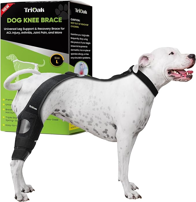 Best Dog Knee Brace For Torn ACLProtect Your Canine BreederSpot