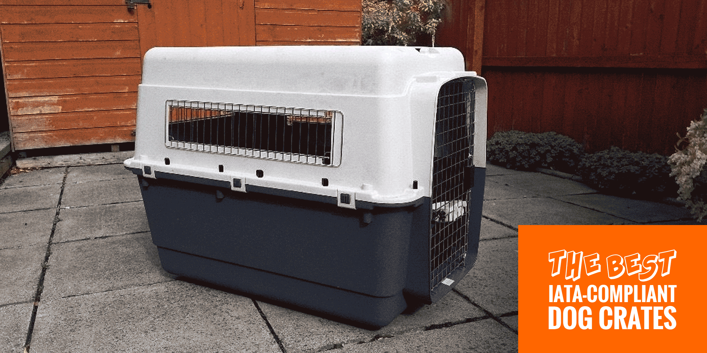 5 Best Dog Crates for Air Travel